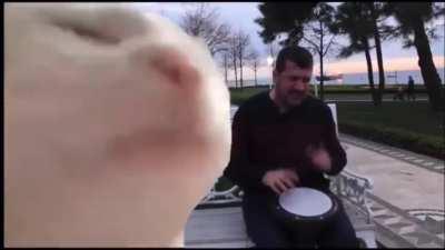 Market Open coming soon ⏰💸 🐱 let’s gooo