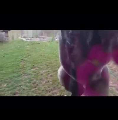 I made this edit, hope you like it