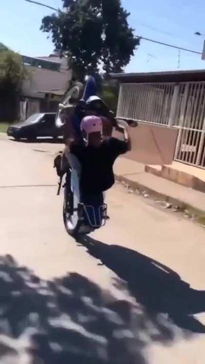 DoglaREDDIT - Video #1184