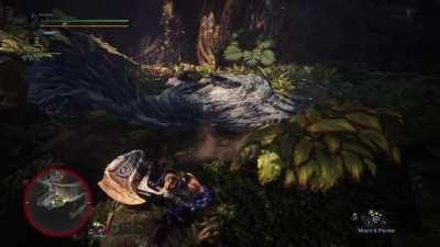 Warning! Tobi Kadachi abuse! Viewer discretion is advised.