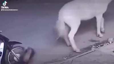 Red Dead Redemption moment