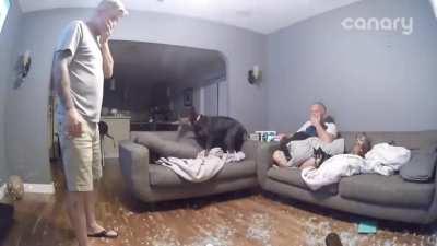 To have fun with dog