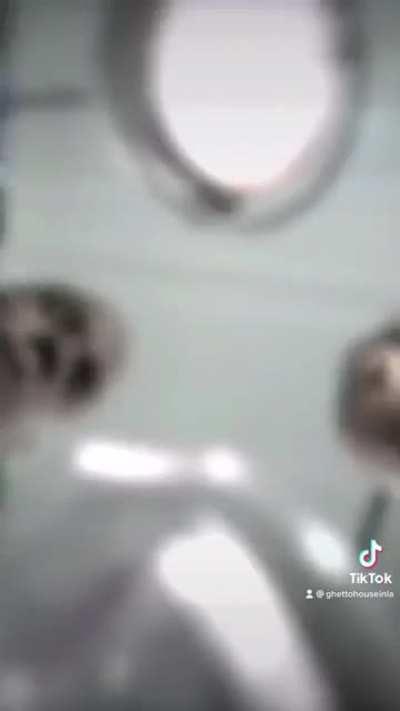 cursed_you died in a family vacation POV