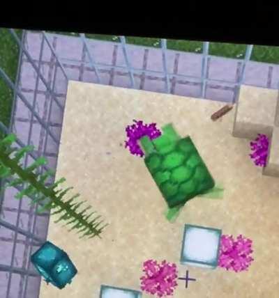 Is my turtle broken?