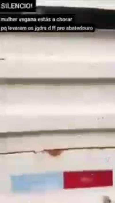 Me perdoe filho.... 🤣