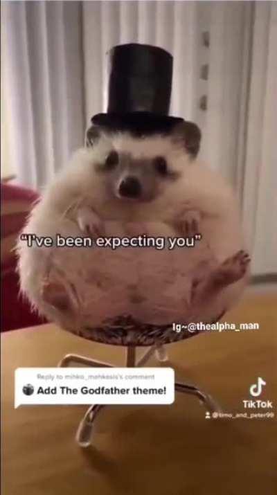 Felix needs to try to recreate this with his Hedgehog...