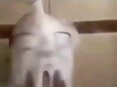 shitposting daily because I am incredibly bored (#276)