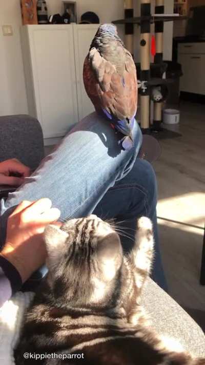 They are both so brave!