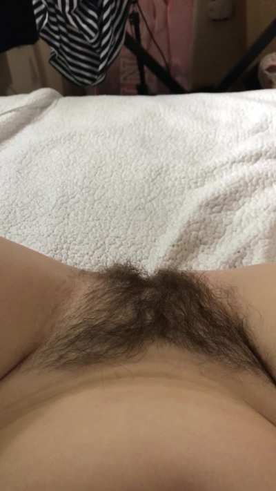 Trim, shave, or keep the bush?