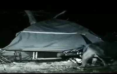 An Unexpected Visitor