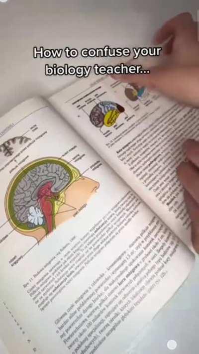 how to copy pictures from textbooks