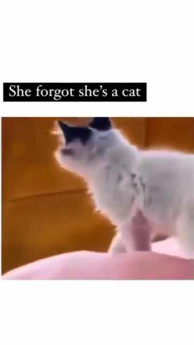 NANIKPosting - Video #8266