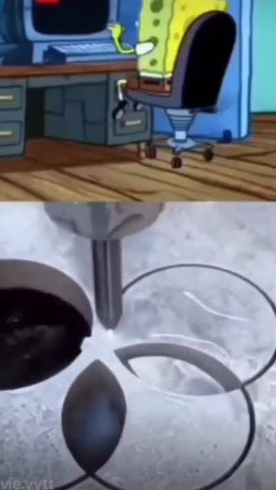 What compelled her to do that 