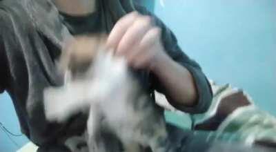 Coraline's crimes, caught on camera! She's guilty of assault and being too cute!