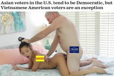 The Vietnamese are the smartest Asians