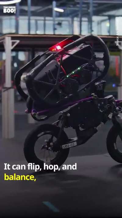 This robot performs wild tricks!