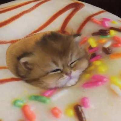 One cute little donut