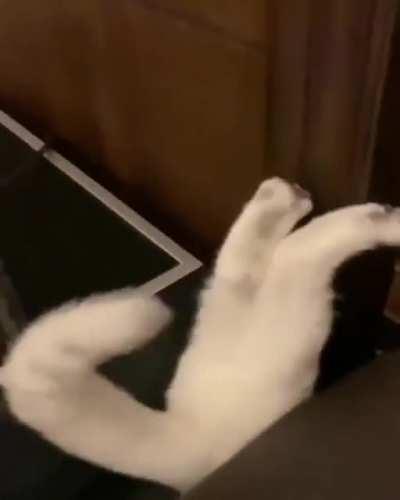 Falling through a crack!