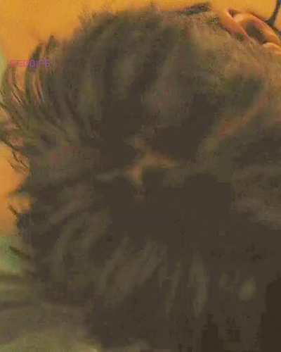 Couple enjoy intimate moments