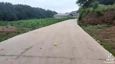 Maybe Maybe Maybe