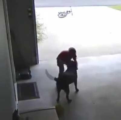 Boy sneaks into neighbor's garage to give their dog a hug after school