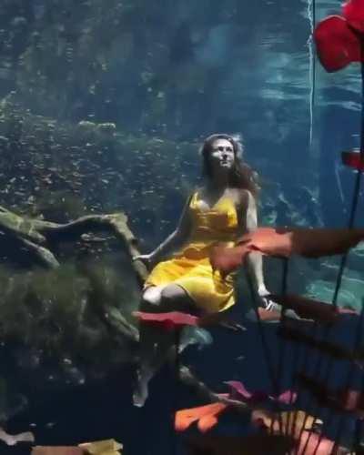 Lily Forest inside this Mexican Cenote. (saturday video)