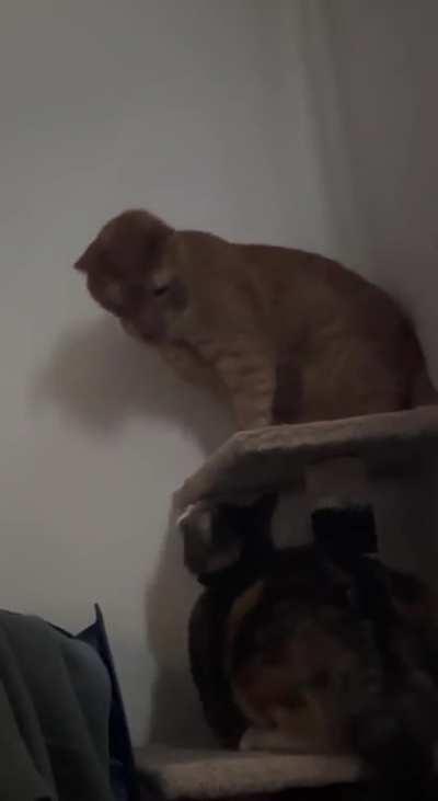 Smalls sometimes forgets he is missing an arm