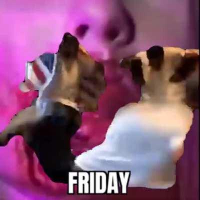 YEAH, IN MY WHITE TEE