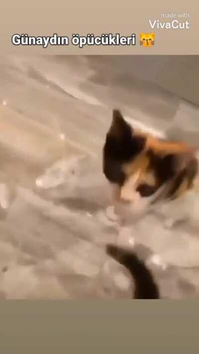 günaydın arkadaşlar