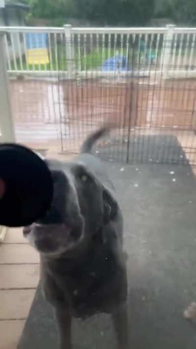 Yo give his nose back