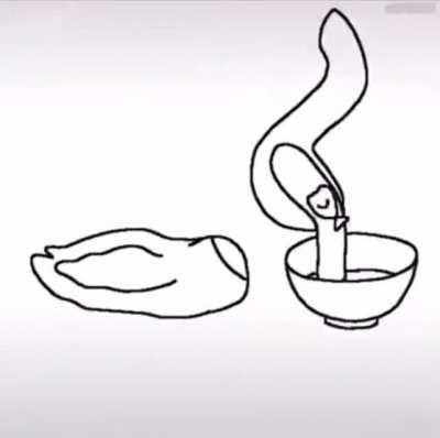 Thanks, I hate this animation