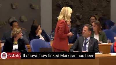 The Dutch deputy told curious things in the presence of the country's government.