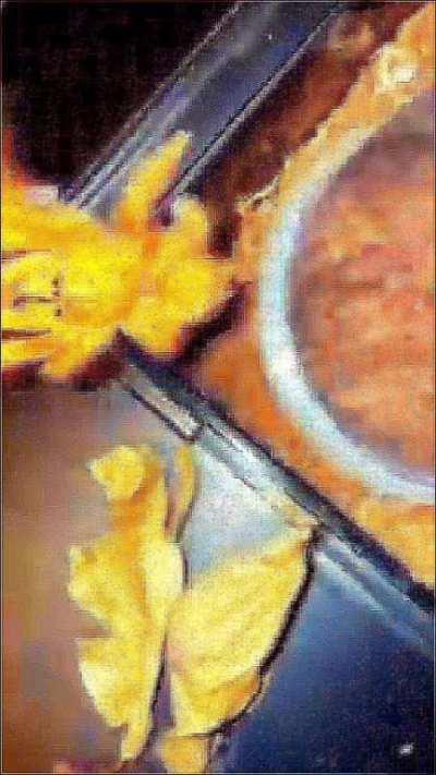 Catching a Tarantula