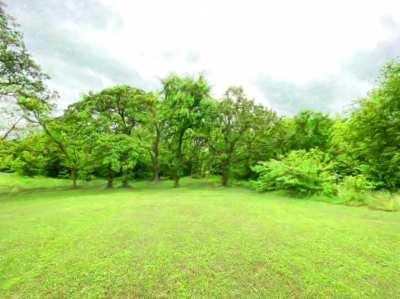 What did I get myself into?