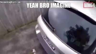 No quiero ni imaginarlo vaya puto asco