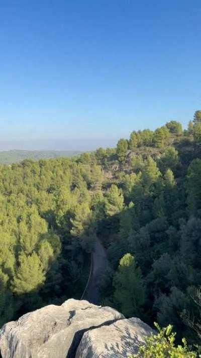 Sharing my boobs with mother nature. Be(f)ore you ask me, they're 100% natural 🍃😈