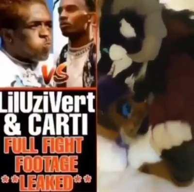 If you play “sky” at 11:59:19 carti will do cool thing