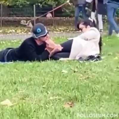 In the middle of the park