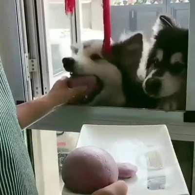 One for you, one for you, and of course one for you