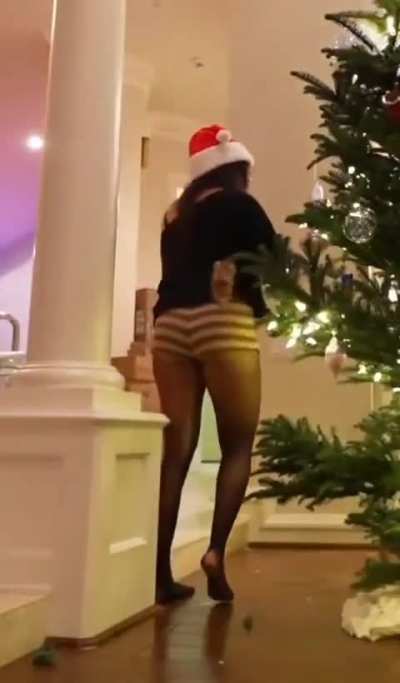 Cinna decorating a Christmas tree - Nov 29th 2025