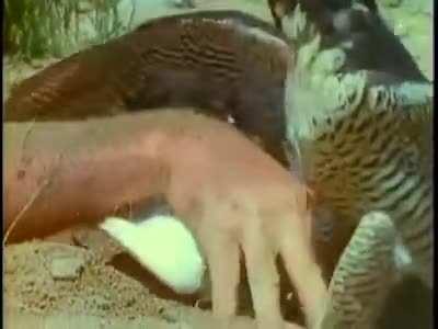 Oh no, wait...what?!