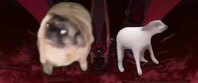 The trailer is such a bop