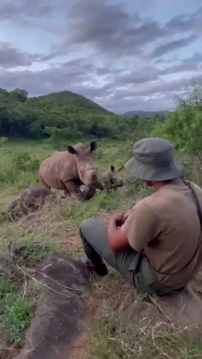 Mom and baby rhino visiting their protector