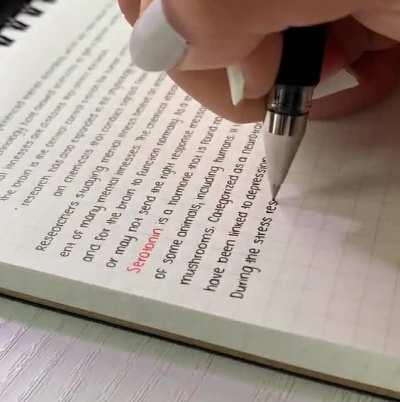 This person’s handwriting is a font!