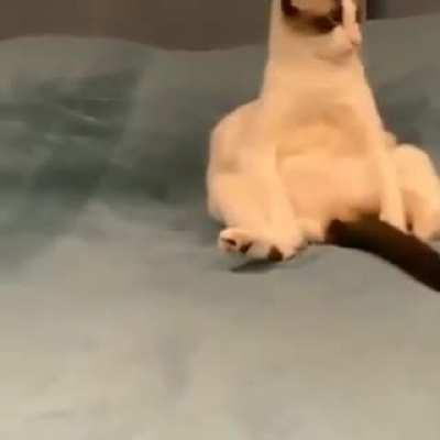 que isso filho PepoLaugh