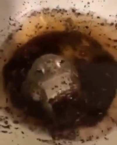 Found a replacement for the shark jumpscare alert