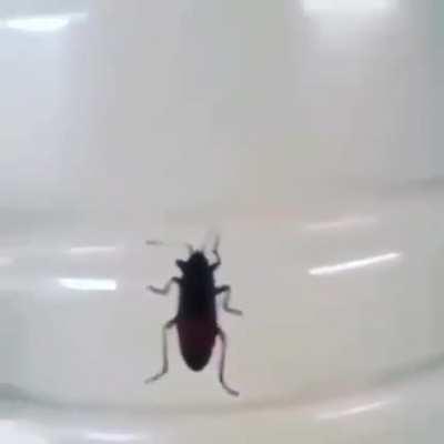 I wonder how Timothy felt