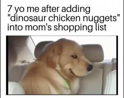 She'll never find out my masterplan!