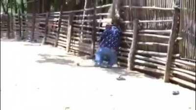 Enano prófugo del morande vs Gallo picao a xoro