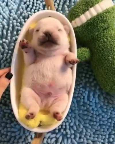 I want to be this little pussy!